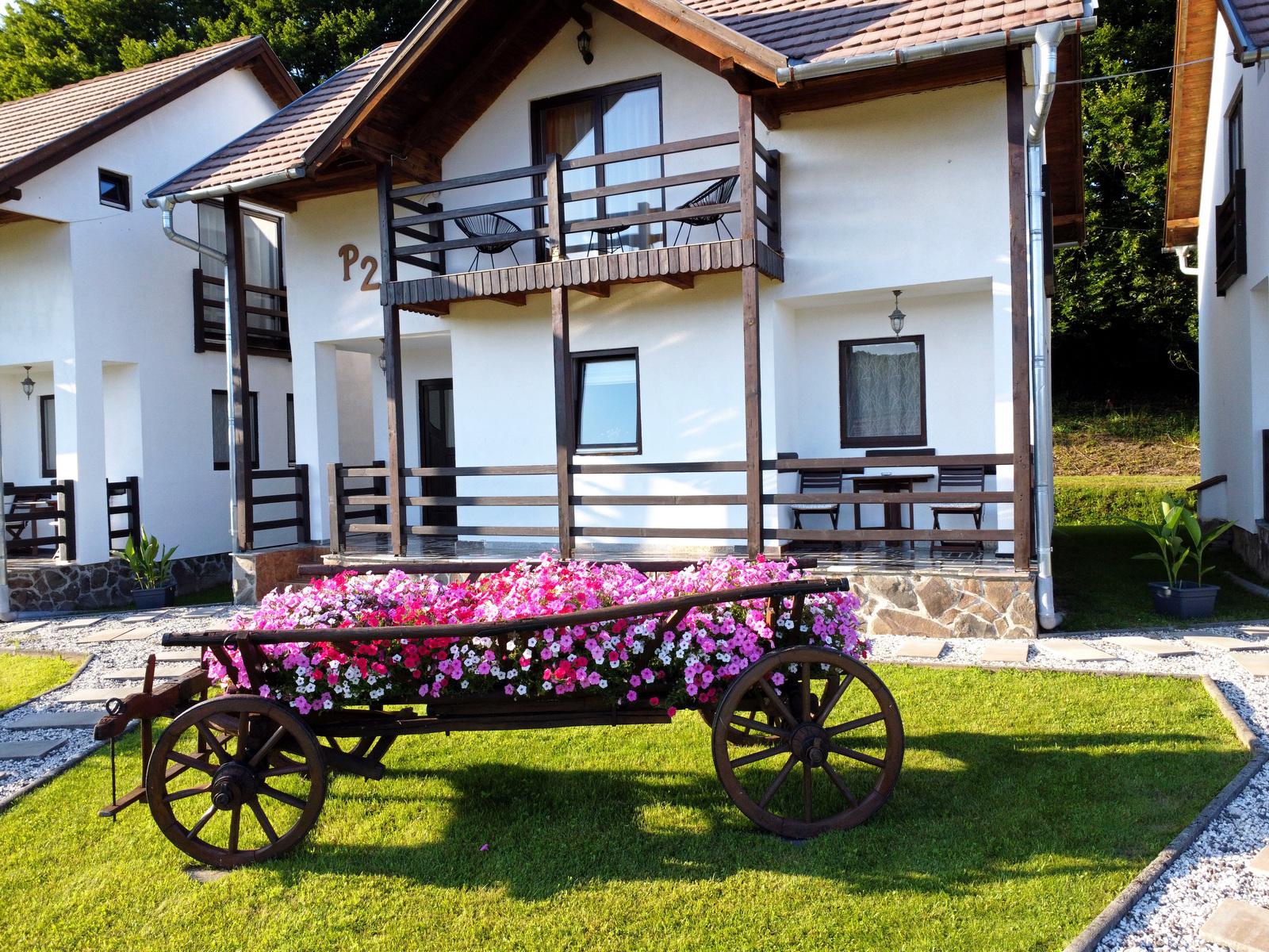 Apartament